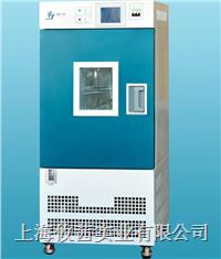 上海精宏 gdhs 2050a高低溫濕熱實(shí)驗(yàn)箱 上海精宏實(shí)驗(yàn)箱
